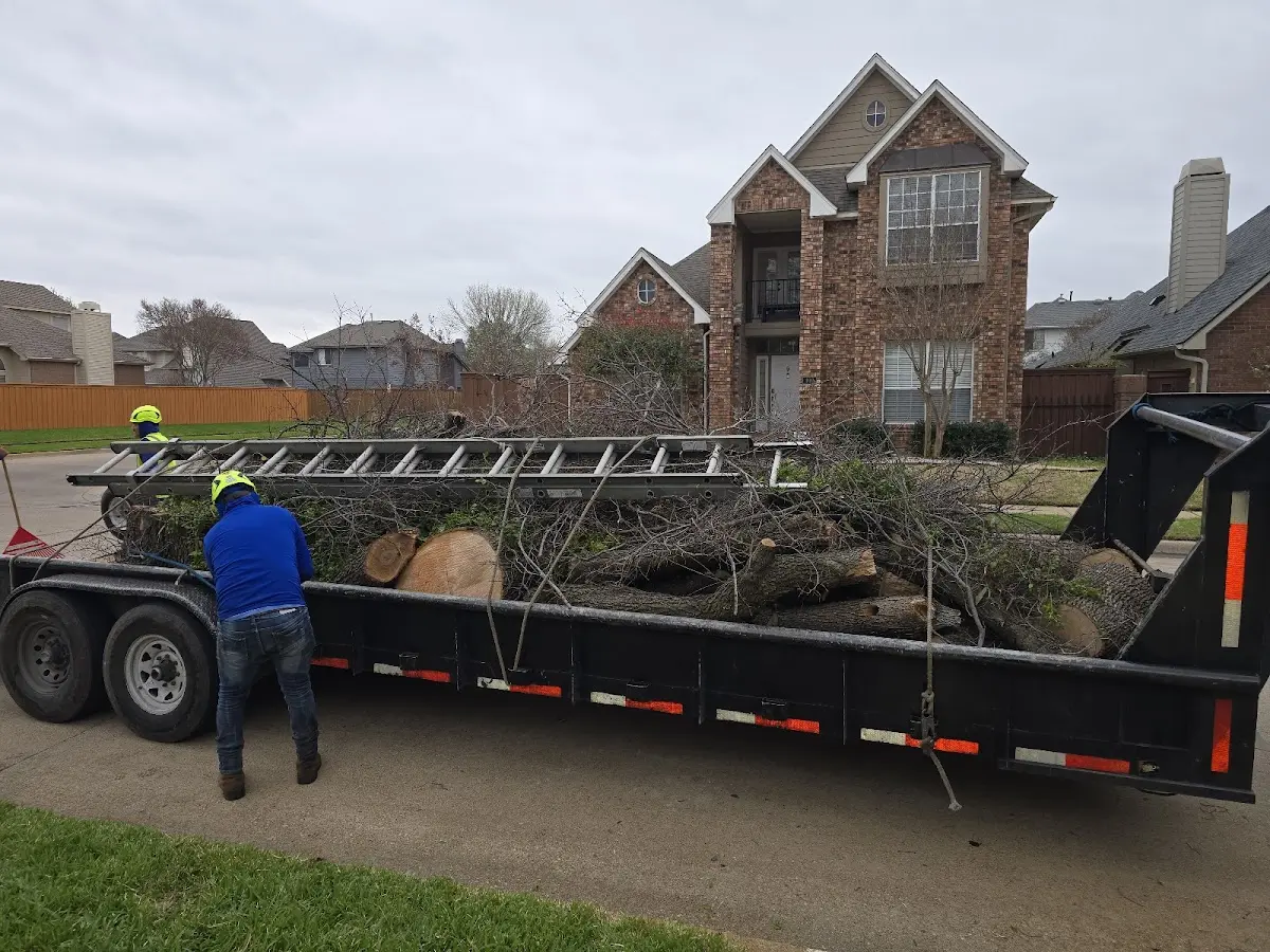 Expert Tree Fertilization with proper safety equipment in Chatfield